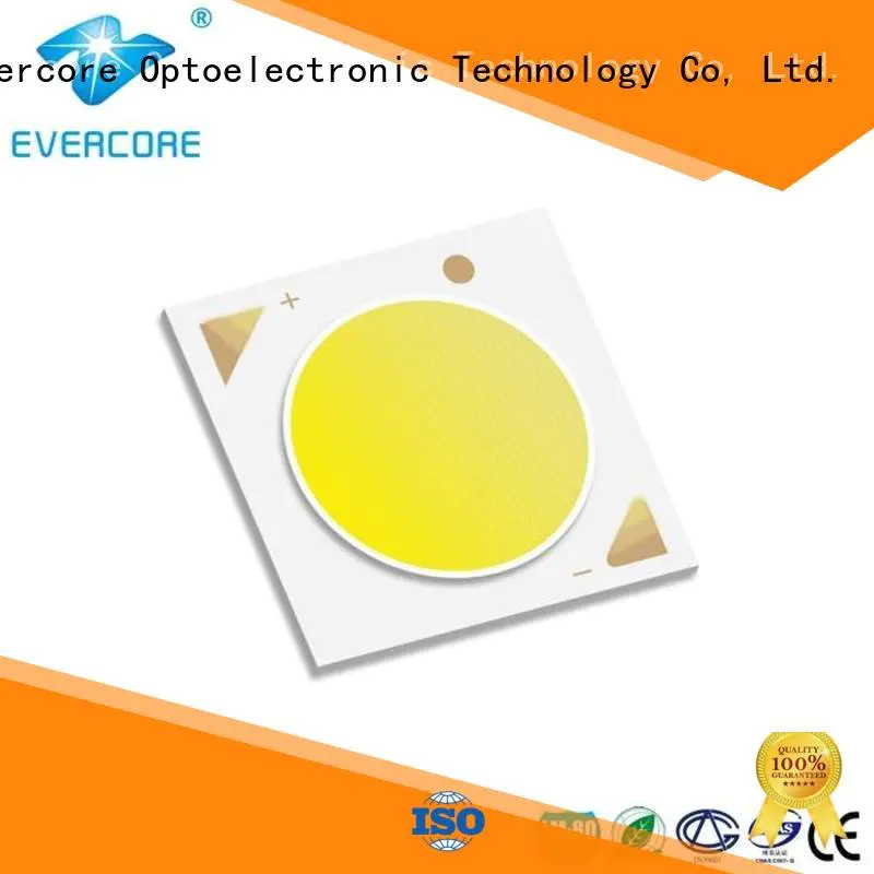 Evercore Brand color High CRI Certified Cob Led Module