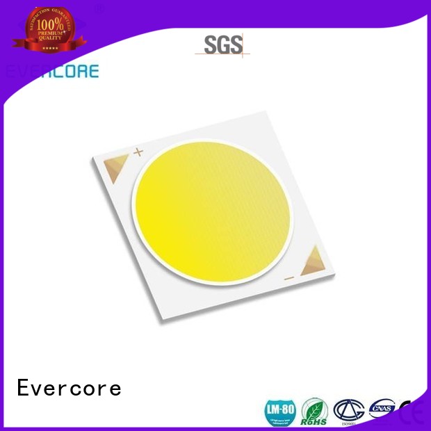 commercial  lighting cob leds led LM-80 Warranty Evercore