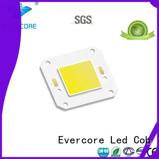 high lighting efficiency modules cob Evercore Brand