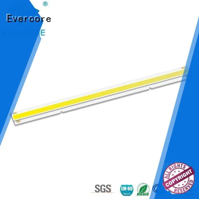 Quality Evercore Brand commercial  lighting cob leds