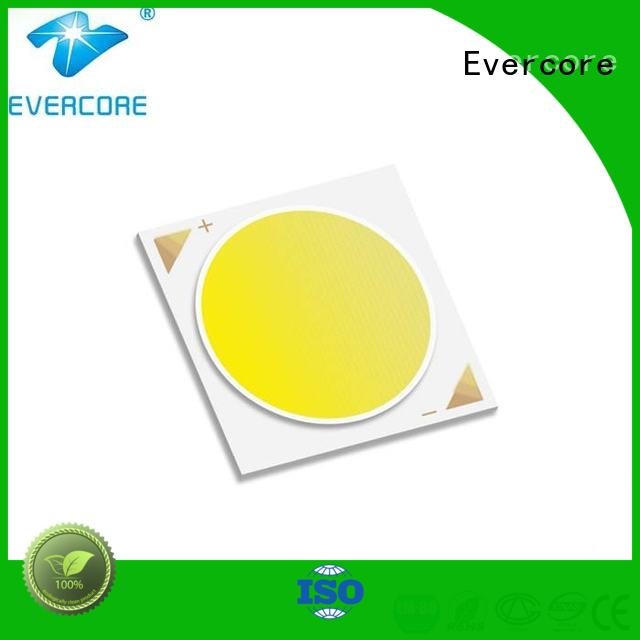 Evercore modules Cob Led Module Certified color