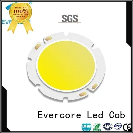 Evercore Brand cob commercial  lighting cob leds led High lumens