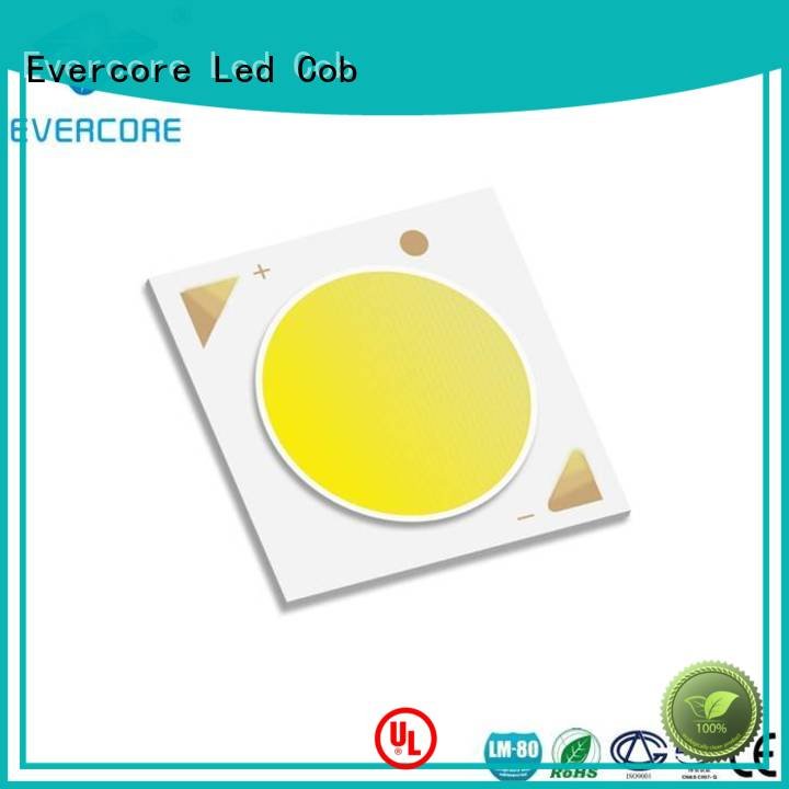 LM-80 color linear Certified Evercore Cob Led Module