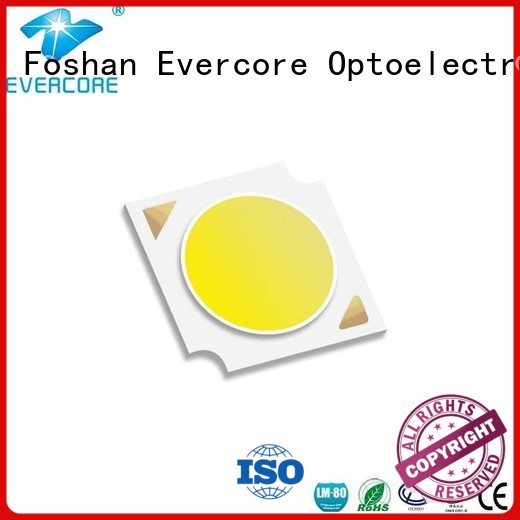 lighting certified High CRI rgb cob led Evercore