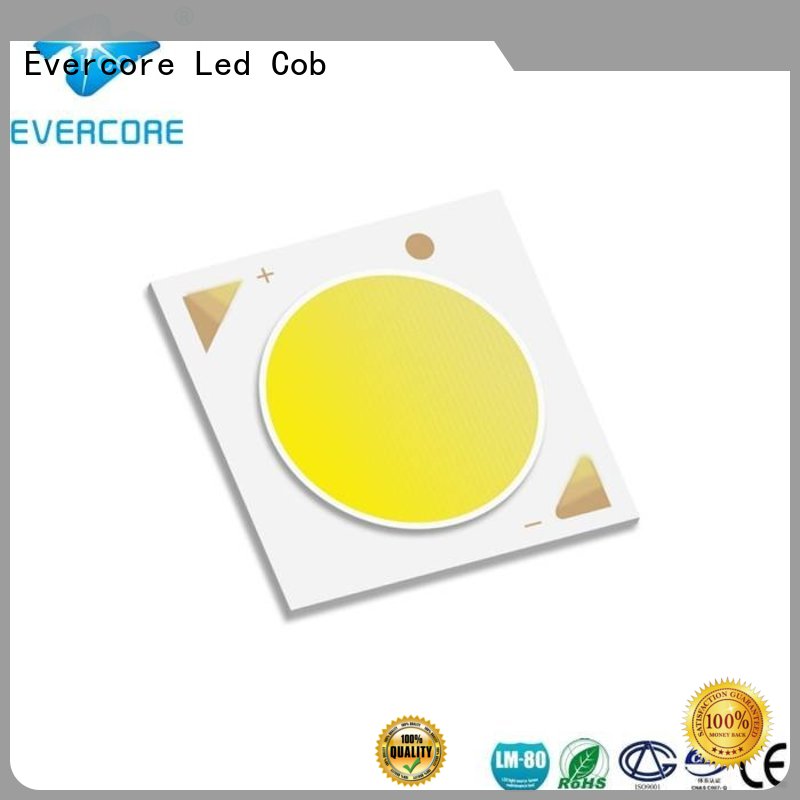 cob color LM-80 Cob Led Module Evercore