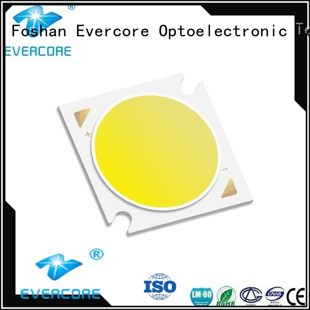 Evercore h13 Cob Led supplier for lighting