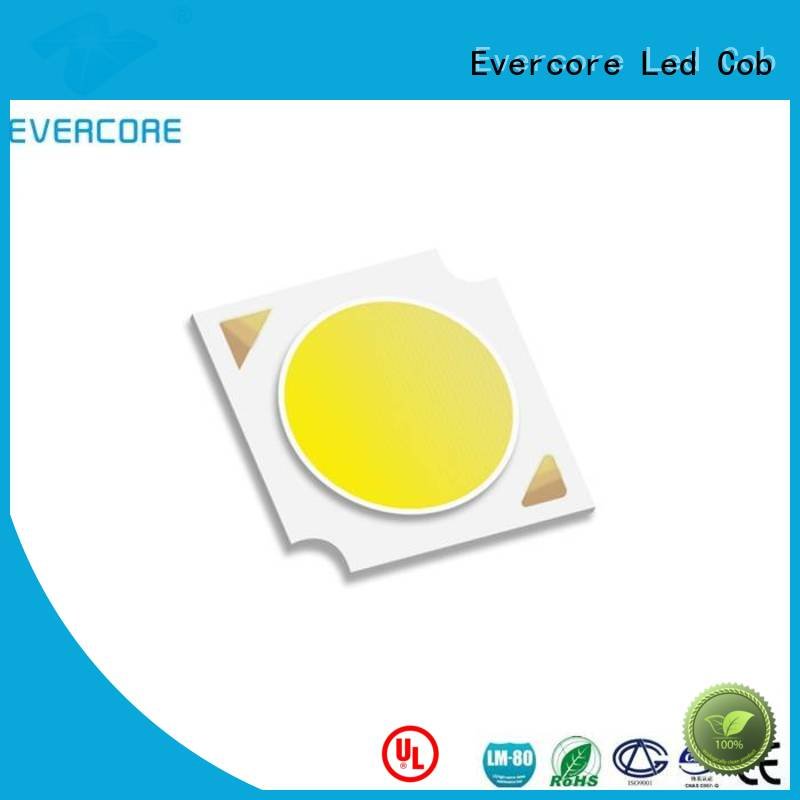 Evercore linear Universal LM-80 commercial  lighting cob leds 10W