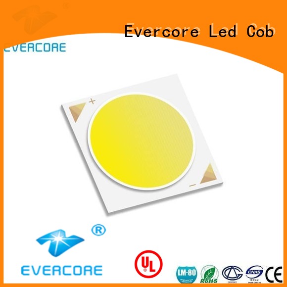 Evercore bh Cob Led factory for lighting