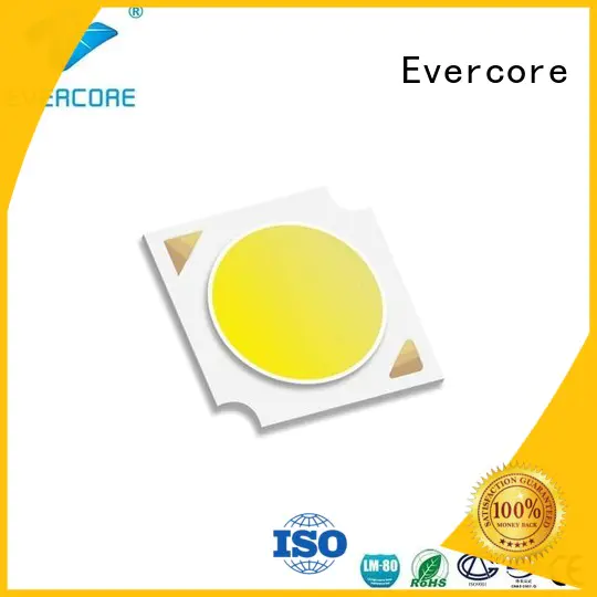 Evercore ）he150 Cob Led manufacturer for sale
