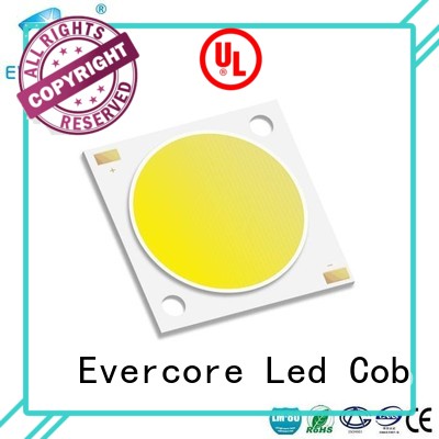 Evercore Low cost Led Cob Chip supplier for lighting
