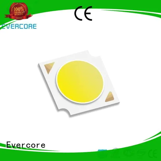 Evercore color Certified linear commercial  lighting cob leds cob