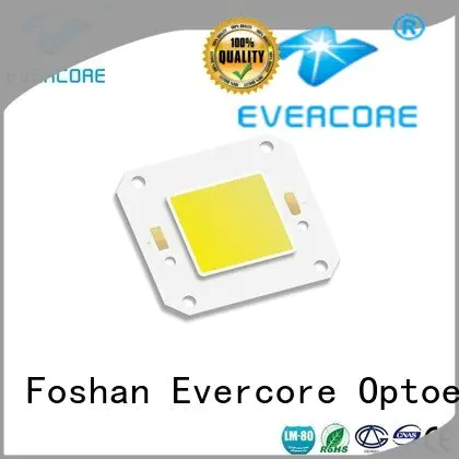 Evercore cob led modules high lighting efficiency modules