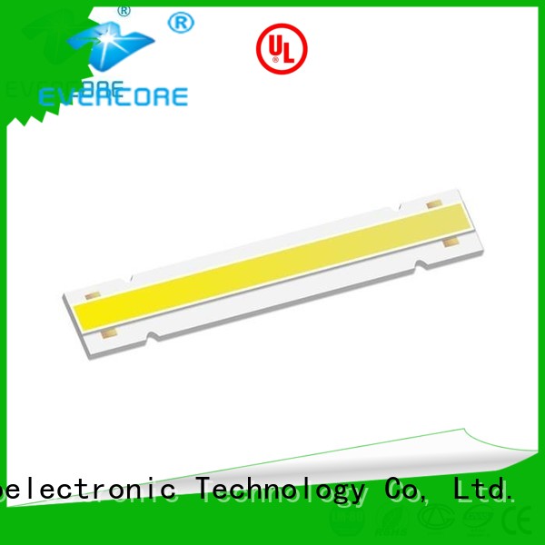 Evercore Low cost Led Cob Chip factory for sale