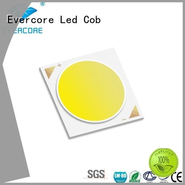 Evercore Brand High CRI 10W Cob Led Module 36W color