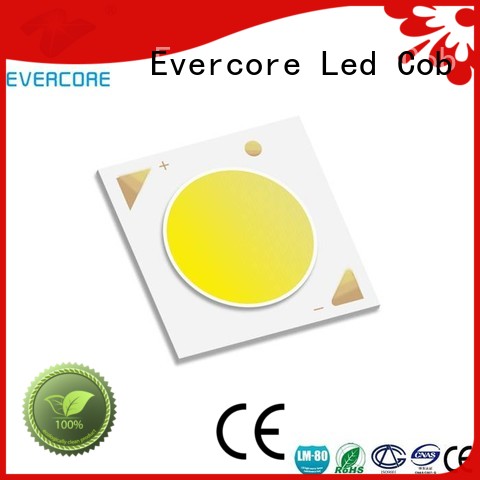 LM-80 36W Evercore Brand commercial  lighting cob leds factory