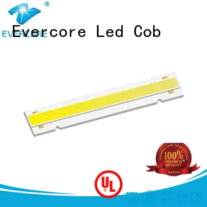 Evercore ）he150 Cob Led factory for distribution