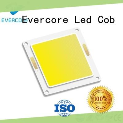 Evercore best quality outside garden lights exporter for lighting