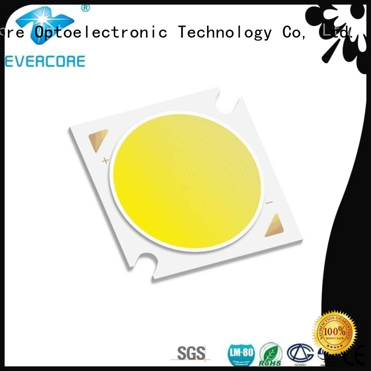 Evercore Low cost Led Cob Chip supplier for sale