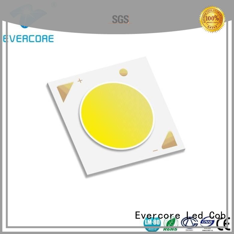 Hot High lumens commercial  lighting cob leds linear Evercore Brand