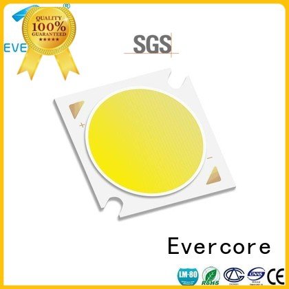 Evercore Brand High CRI High lumens commercial  lighting cob leds