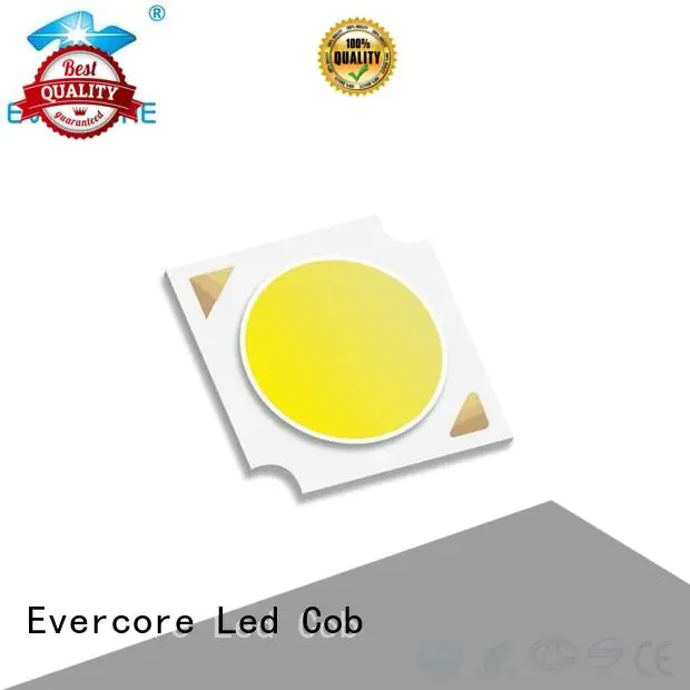 Hot commercial  lighting cob leds cob Evercore Brand