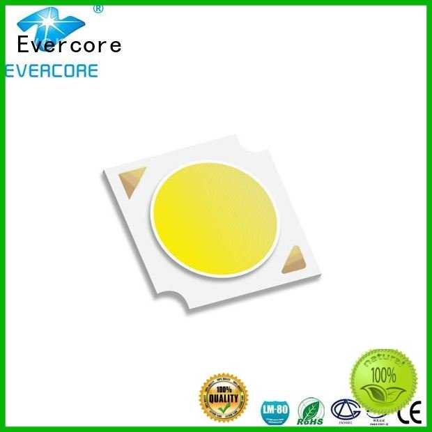 commercial  lighting cob leds led LM-80 Evercore Brand