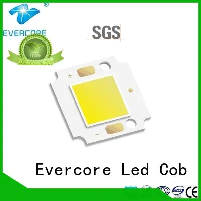Evercore cob Cold light modules led