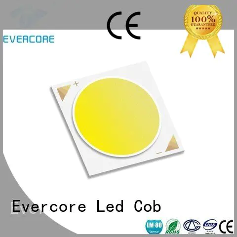 Custom Cob Led Module High CRI modules led Evercore