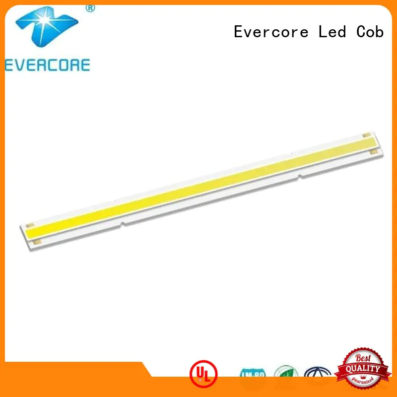 Evercore cheap rgb cob led factory for sale