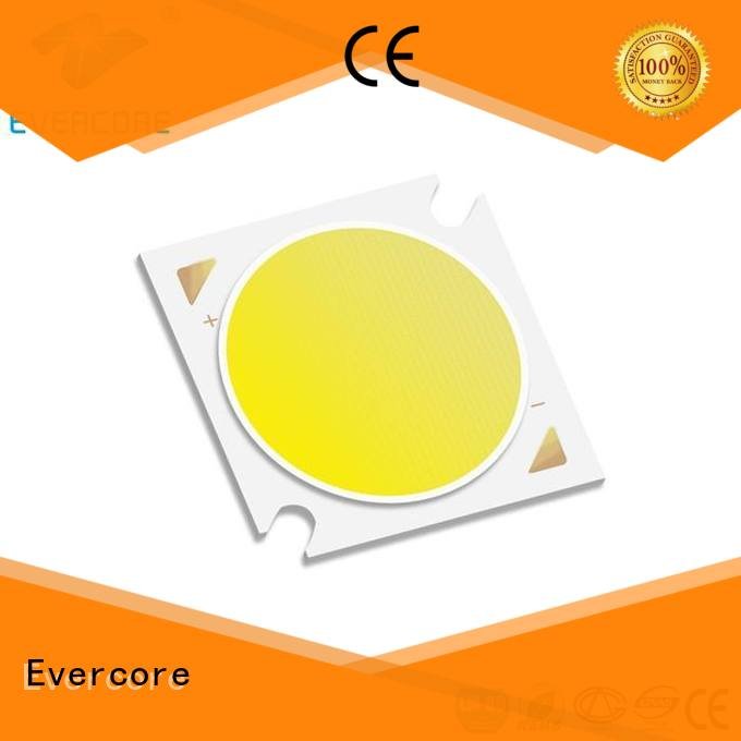 High lumens Universal Cob Led Module 10W Evercore