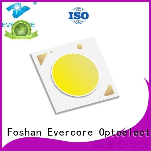 Custom Cob Led Module 10W cob led Evercore