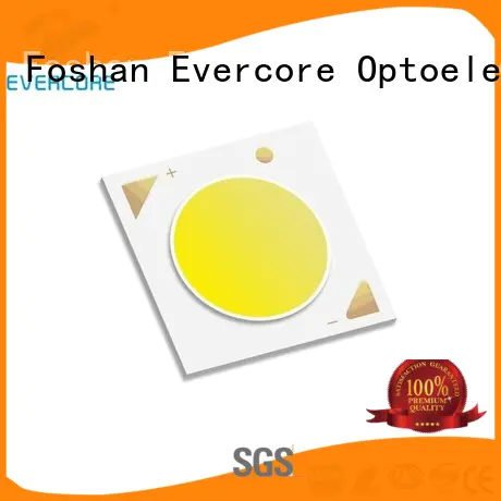 Evercore Low cost Led Cob Chip factory for distribution