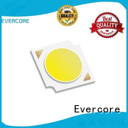 cob High CRI Cob Led Module Certified Evercore