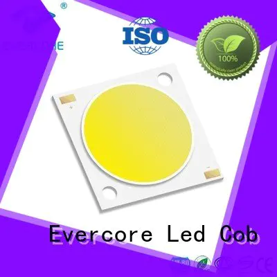 Evercore Brand 36W cob Cob Led Module Universal 10W