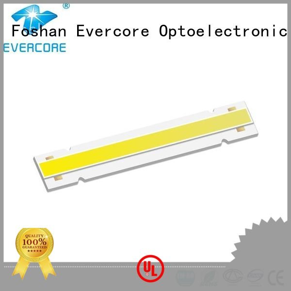 linear High lumens Cob Led Module led Evercore