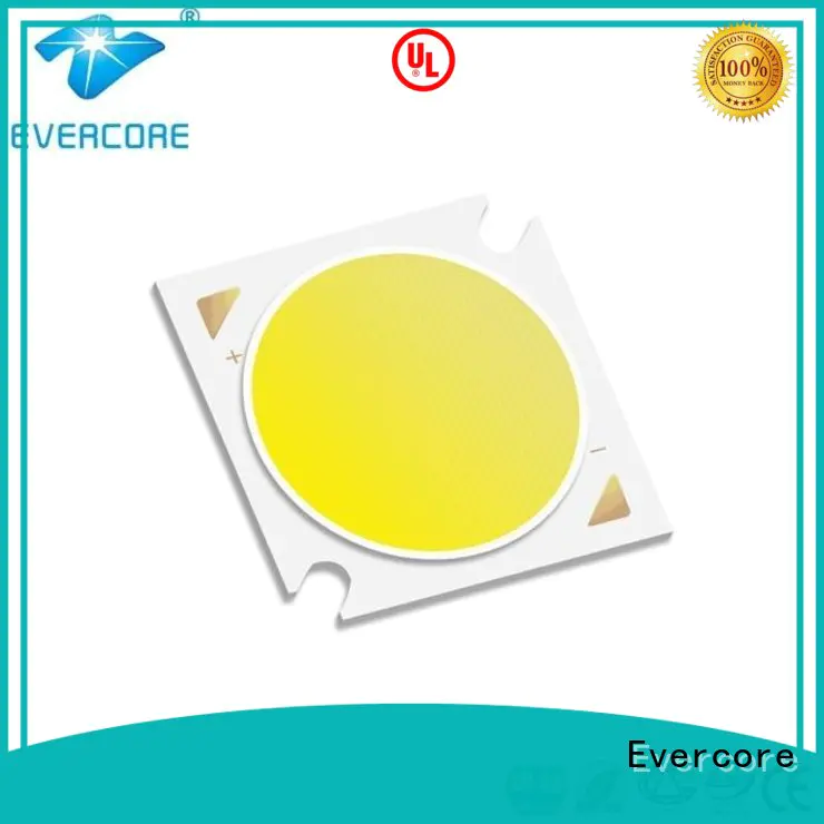 Evercore green rgb cob led factory for sale