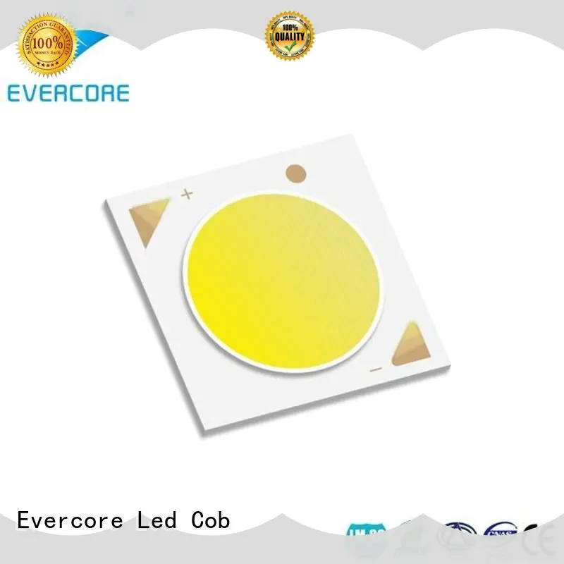Evercore Low cost rgb cob led factory for distribution