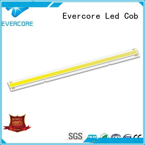 Evercore Universal High lumens High CRI commercial  lighting cob leds color