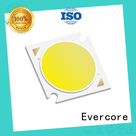 Evercore Low cost rgb cob led manufacturer for sale