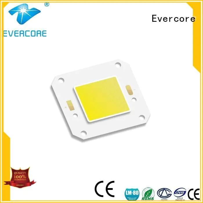 Wholesale led modules Cold light Evercore Brand