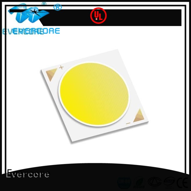 modules Universal led commercial  lighting cob leds Evercore manufacture