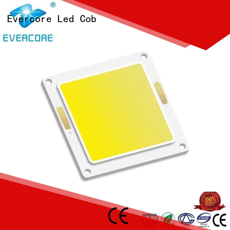 Hot high lighting efficiency cob Evercore Brand