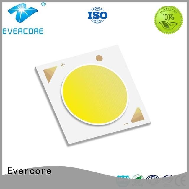 Evercore Brand 36W cob 10W Cob Led Module Universal