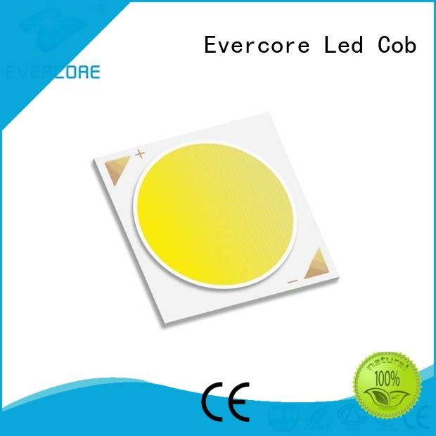High lumens cob commercial  lighting cob leds Evercore Brand