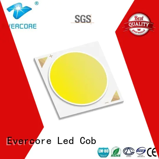 Evercore bh1816 rgb cob led supplier for sale