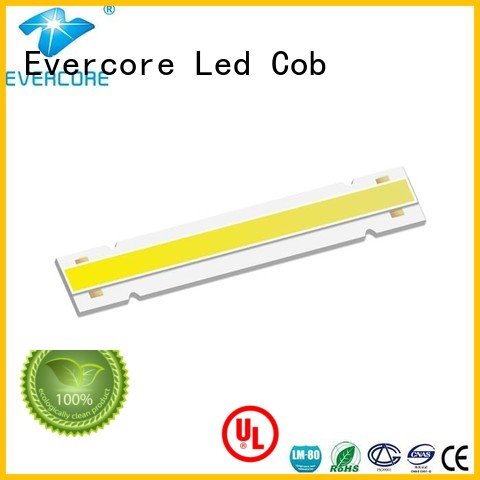 Evercore Brand linear Universal cob Cob Led Module