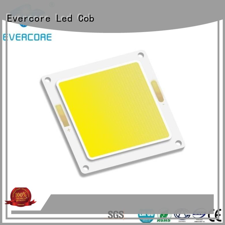 Quality Evercore Brand modules Widely used spot led cob