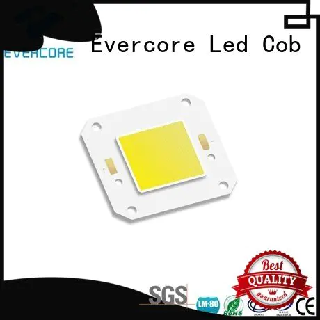 Evercore high lighting efficiency cob modules led led