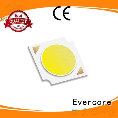 Custom Cob Led Module color cob Certified Evercore