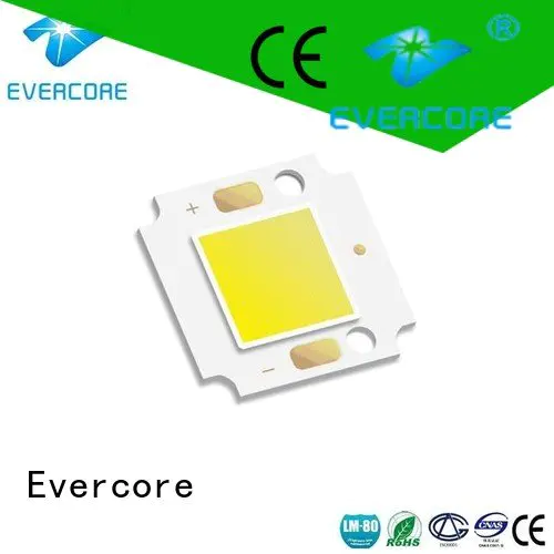 Hot high lighting efficiency led cob modules Evercore Brand